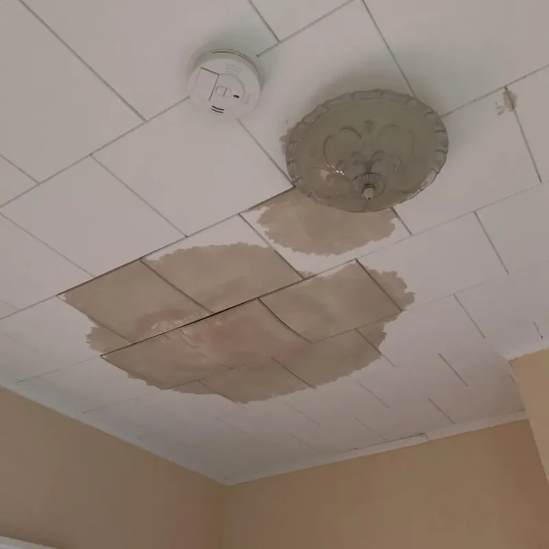 Ceiling Water Damage Repair in Jackson County, AR
