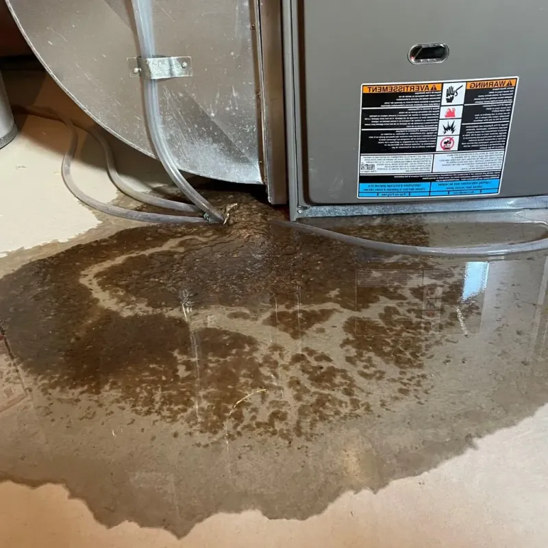 Pipe Burst and Leak Restoration in Jackson County, AR